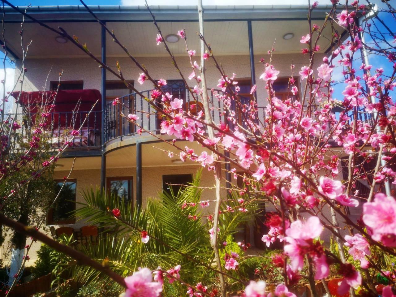 Hostel Sadu Koutaïssi Extérieur photo